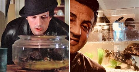 What were the names of Rocky's pet turtles in the movie Rocky.